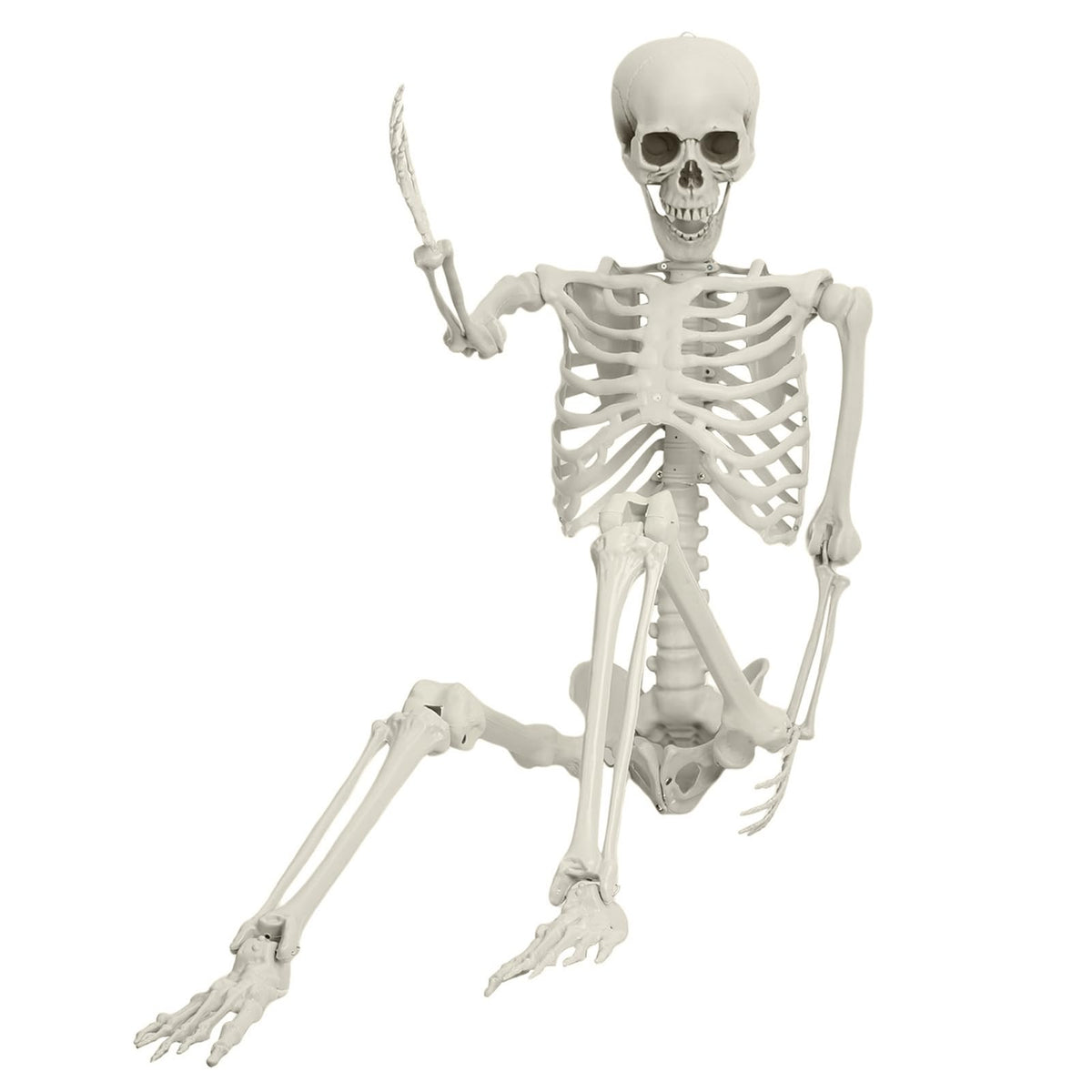5.4ft Posable Life Size Skeleton J494452