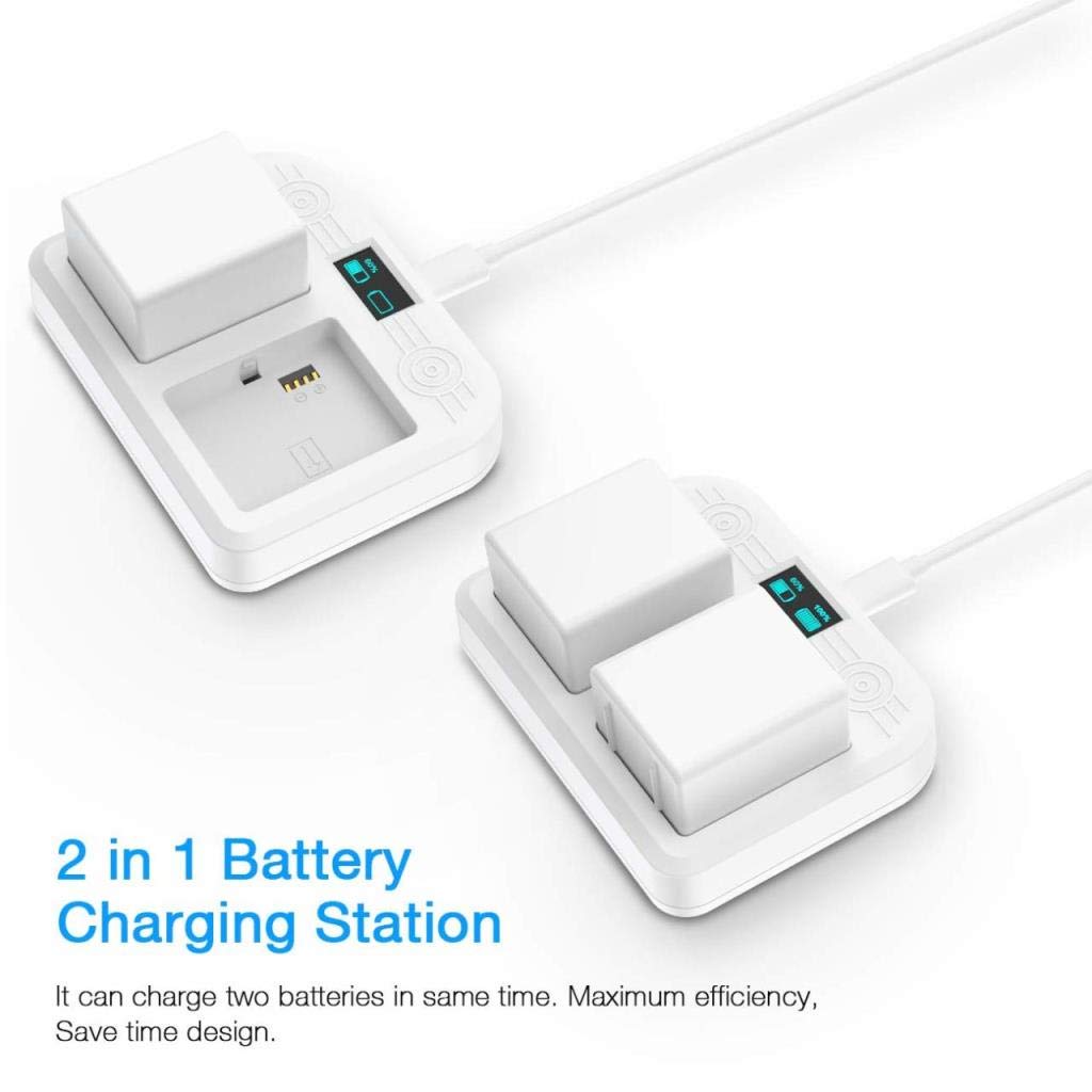 Battery Charger Station R6200
