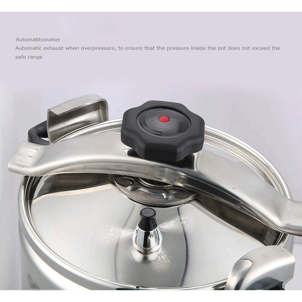 Stainless Steel 3L Electric Pressure Cooker P659158