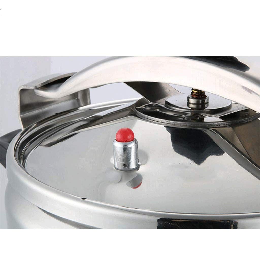 Stainless Steel 3L Electric Pressure Cooker P659158
