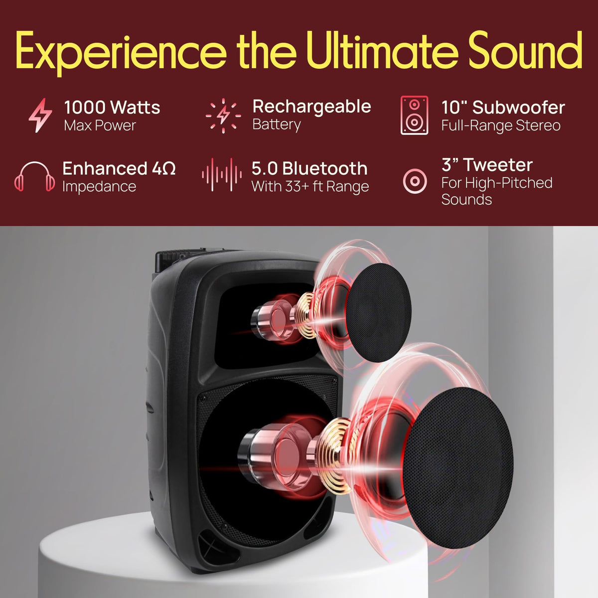 1000W Portable Bluetooth PA Speaker with 10'' Subwoofer and Wireless Mic C8817