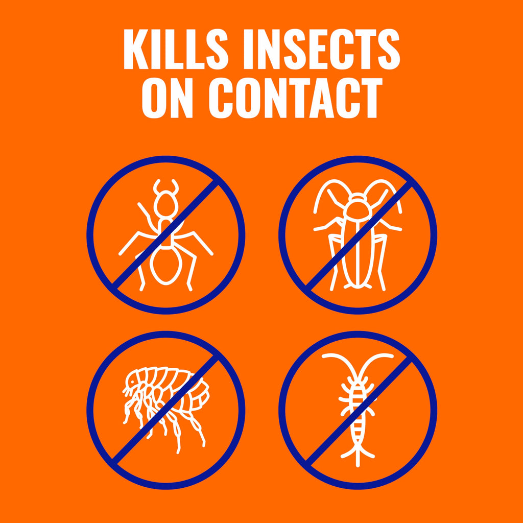 2 Pack Insect Control Granules X294479