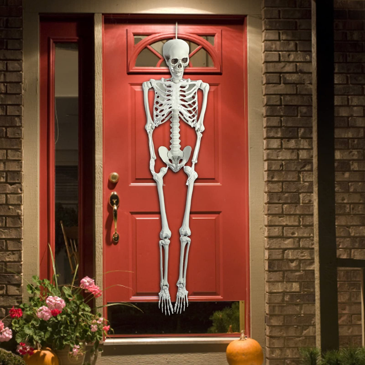 5.4ft Posable Life Size Skeleton J494452
