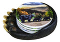 Black Bear Paw Coaster Set with 4 Coasters N55054
