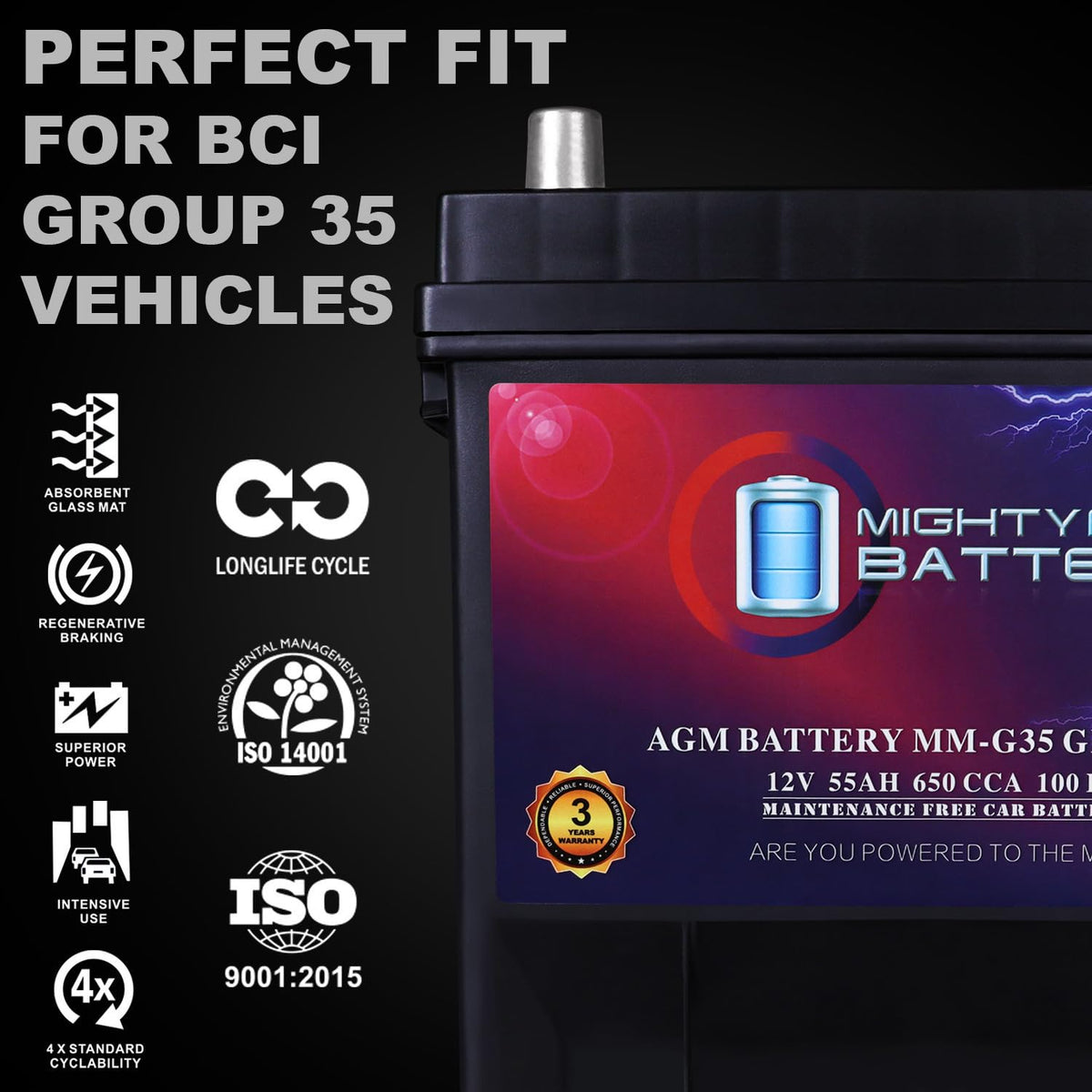 12V 55Ah AGM Replacement Battery P8738