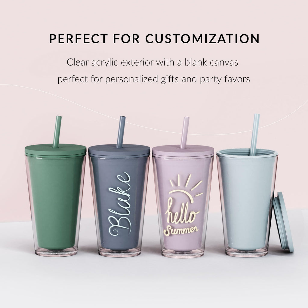 Clear 16oz Insulated Acrylic Tumbler with Lid and Straw, 2 Pack A235116
