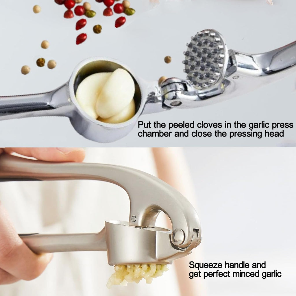 Stainless Steel 2 in 1 Garlic Press and Herb Scissors N4341