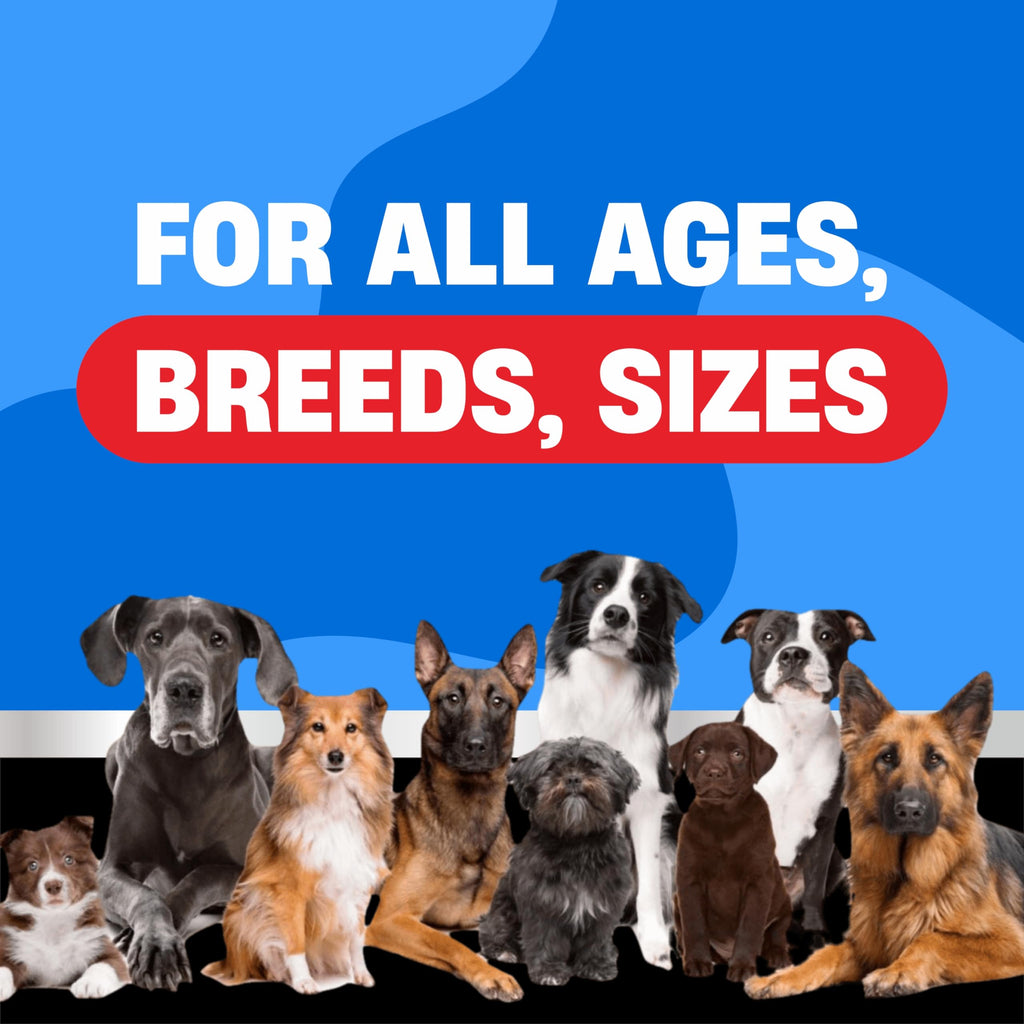 Flea and Tick Chewable Treatment for Dogs O6434