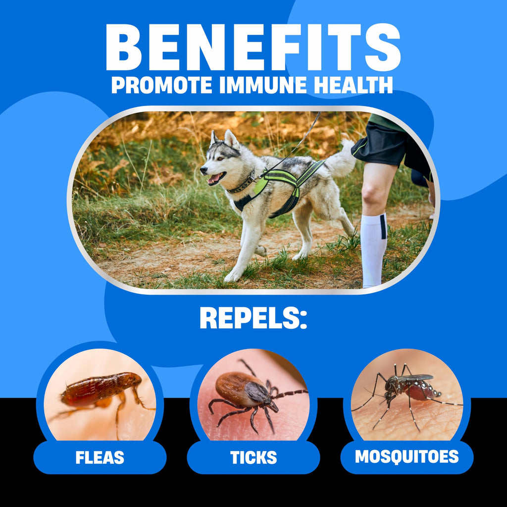 Flea and Tick Chewable Treatment for Dogs O6434