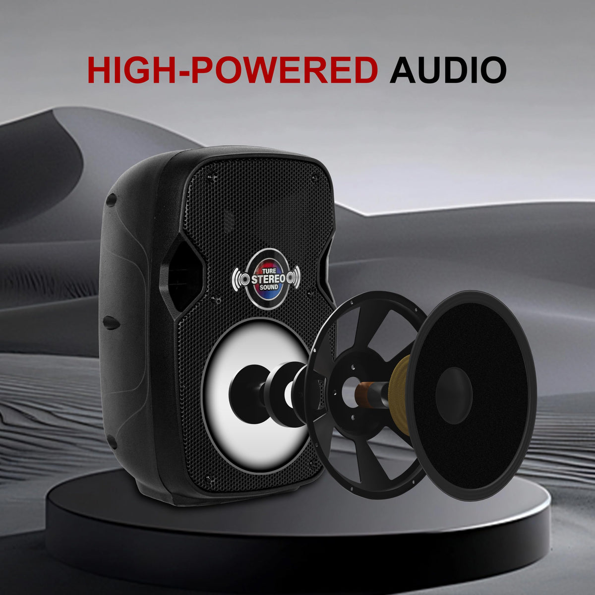 10-Inch Bluetooth PA Speaker System with Wired Microphone J97491