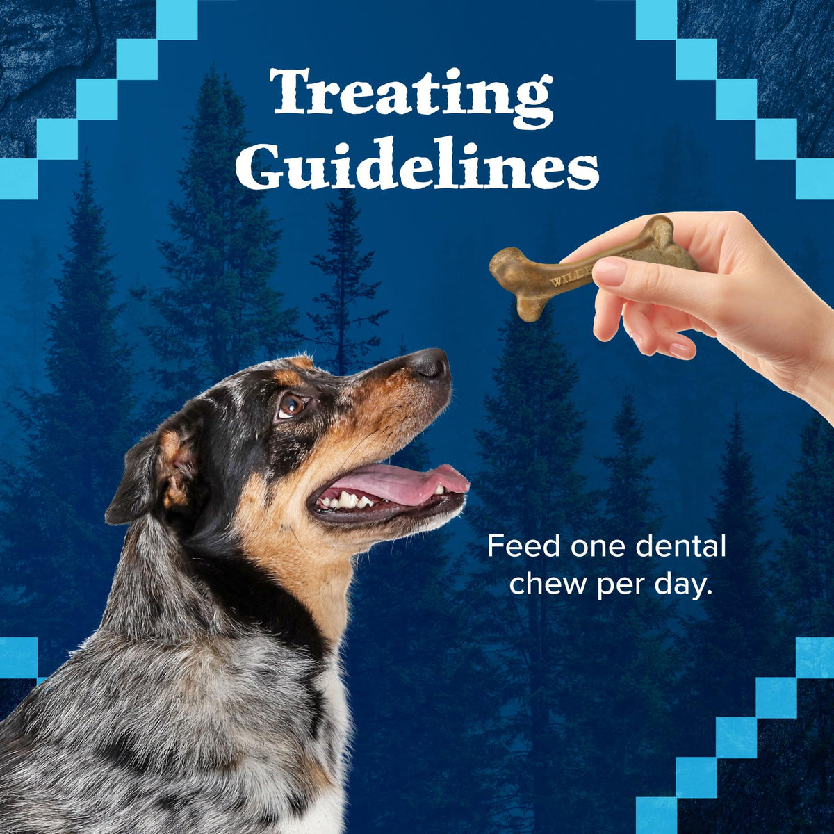 Grain-Free Large Dog Dental Chews R640993