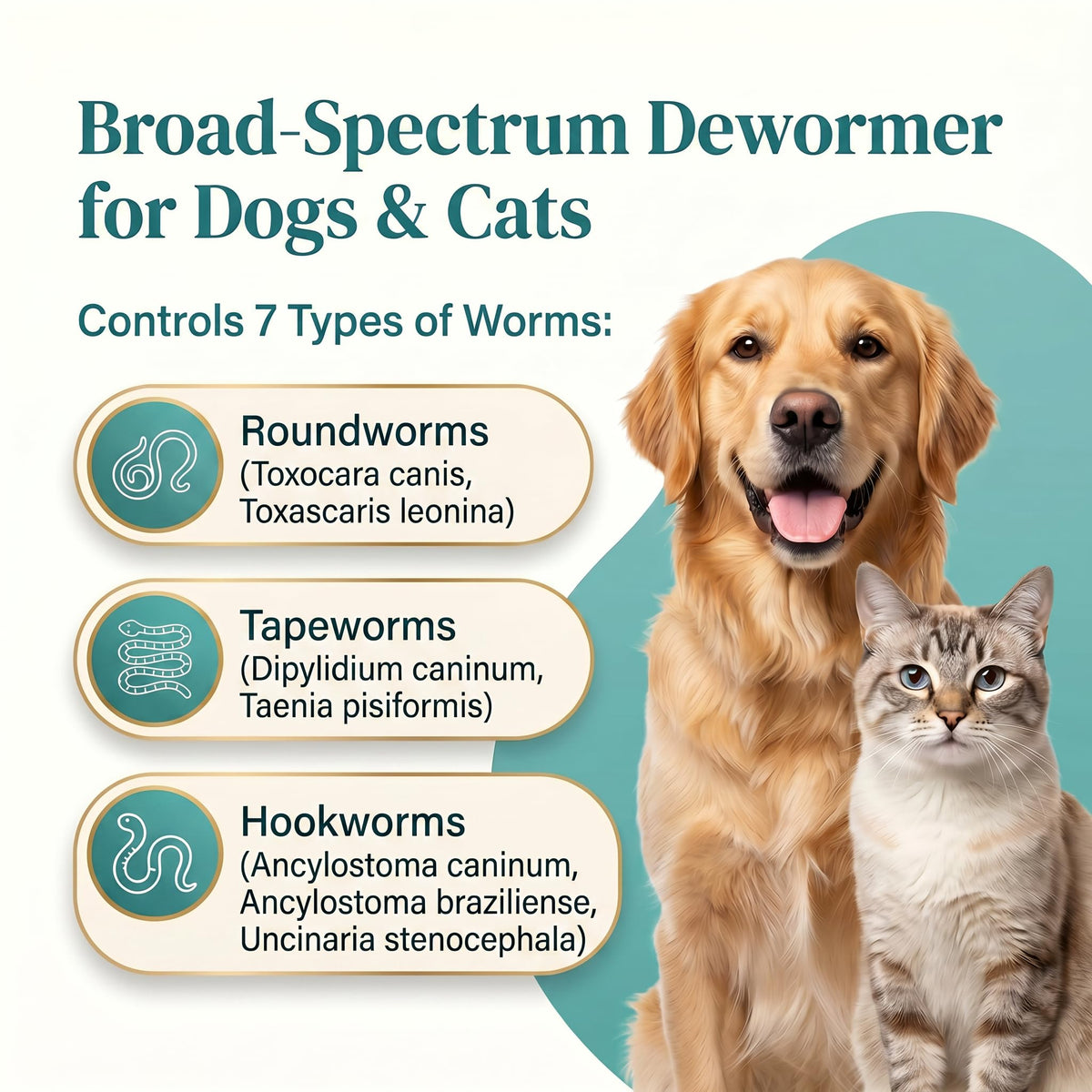 Pyrantel Pamoate and Praziquantel De-wormer Tablet for Dog & Cat 100 Tablets A69107