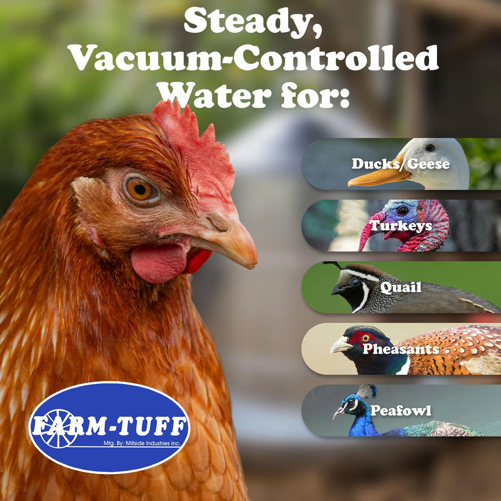 Galvanized 5 Gallon Poultry Waterer D597