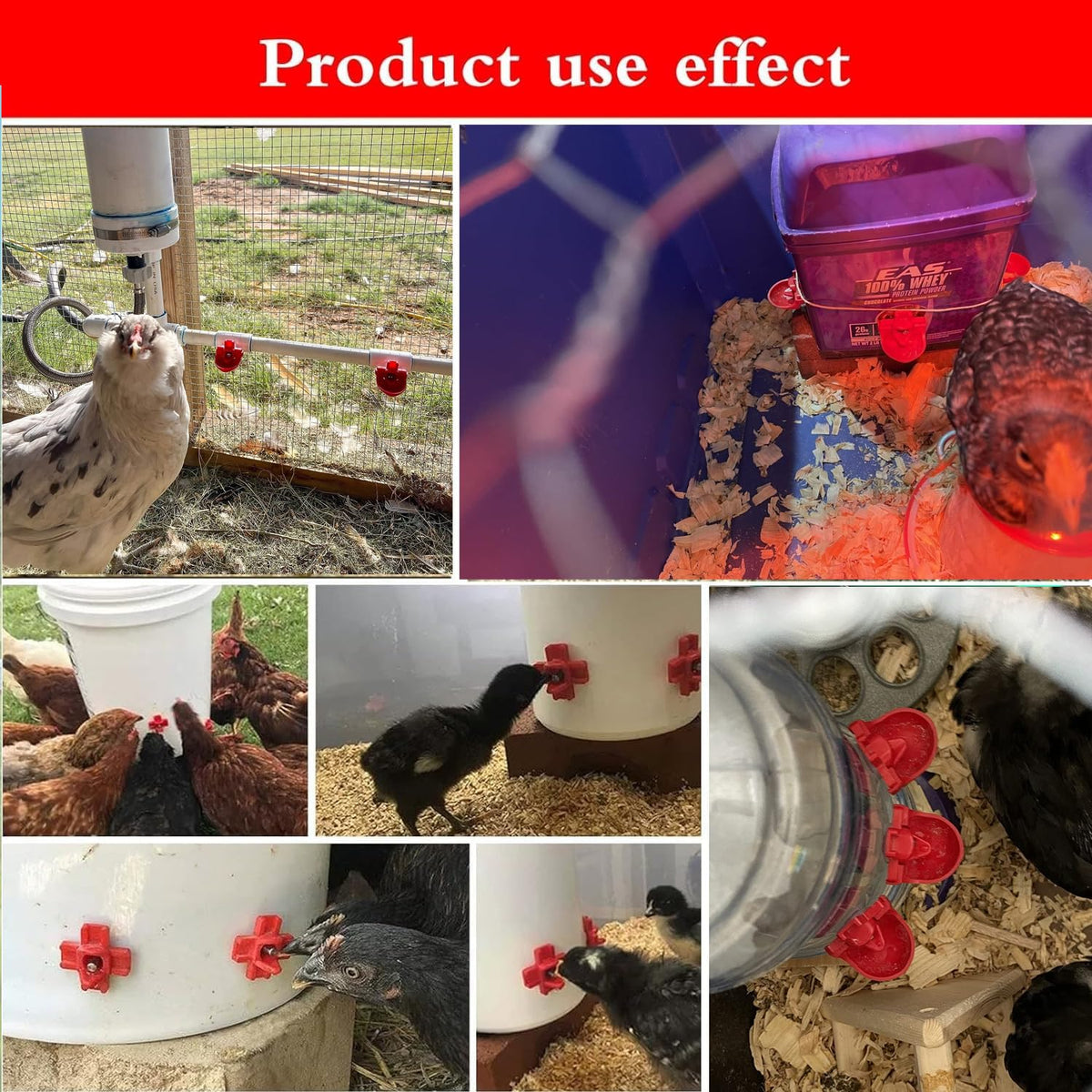 12-Pack Automatic Chicken Water Nipples with Cups M6913