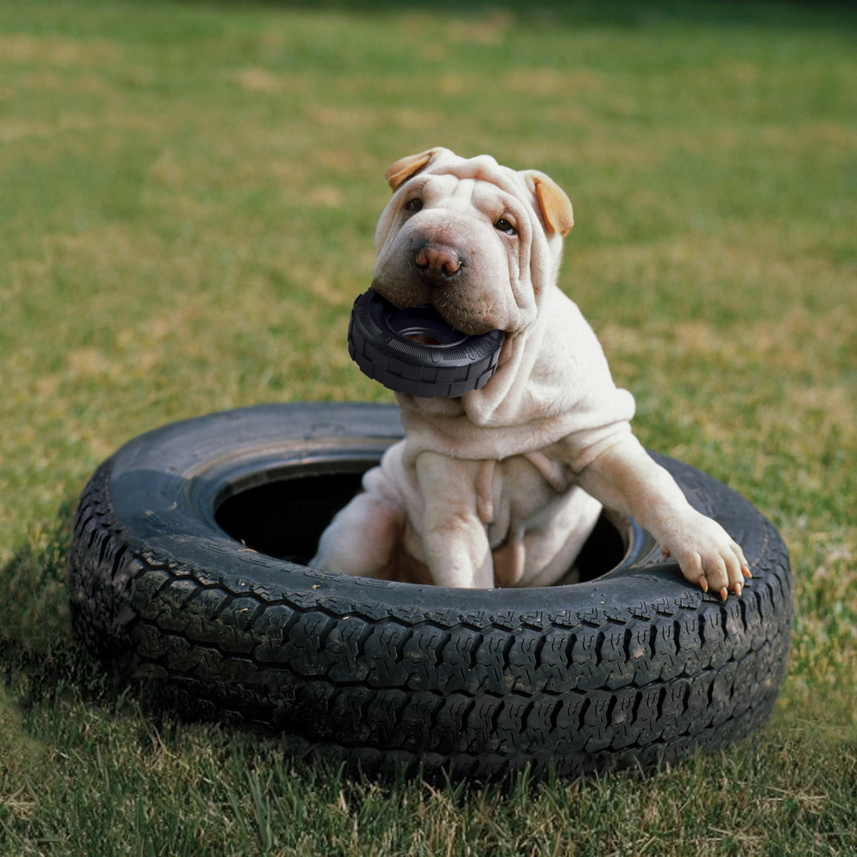 Natural Rubber Chew Toy for Medium Large Dogs J6421