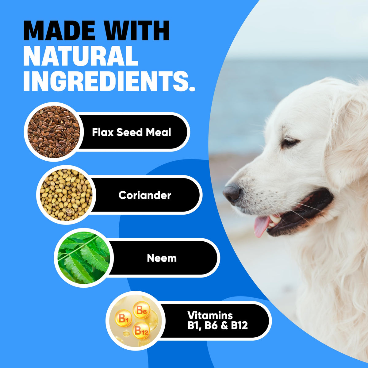 Flea and Tick Chewable Treatment for Dogs O6434