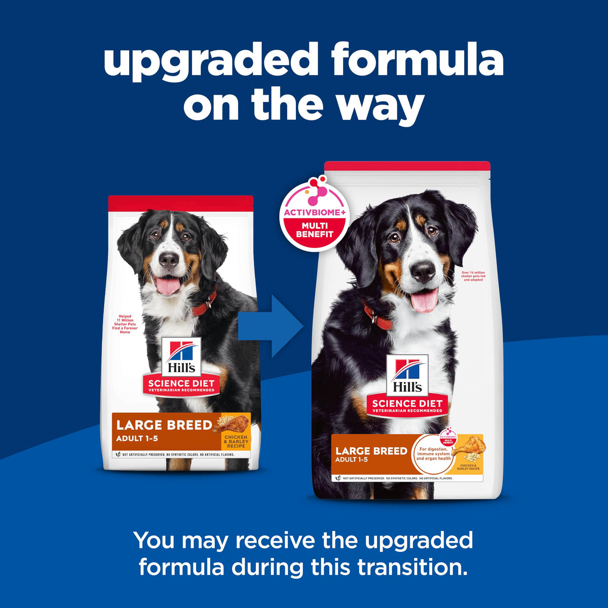 Large Breed Dry Dog Food T3681
