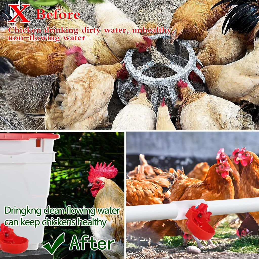 12-Pack Automatic Chicken Water Nipples with Cups M6913