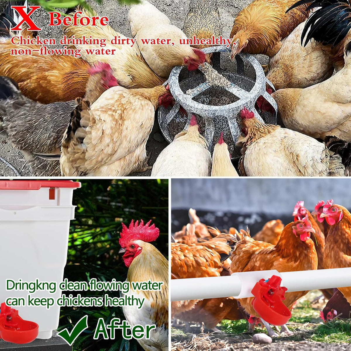 12-Pack Automatic Chicken Water Nipples with Cups M6913
