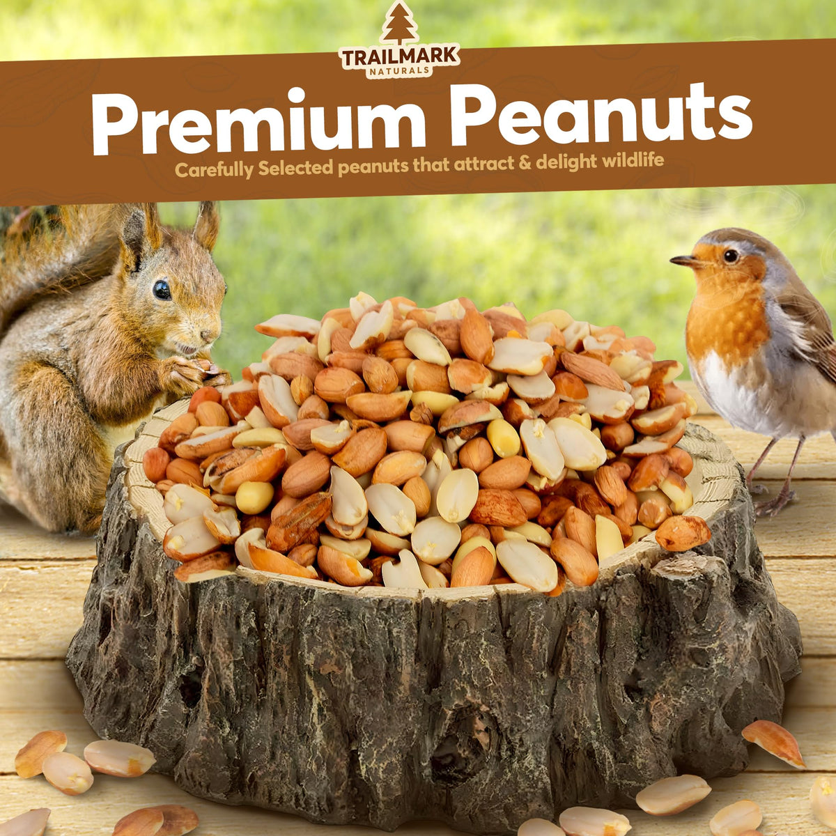 Raw Shelled Peanuts H862908