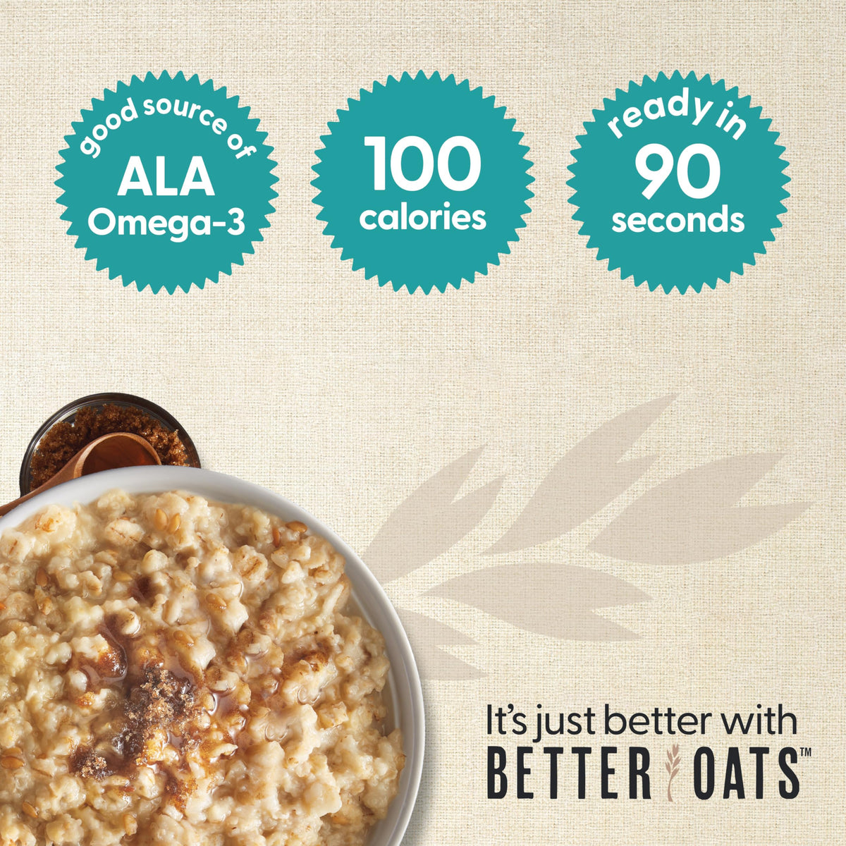Maple & Brown Sugar Oatmeal 6 Pack J31260