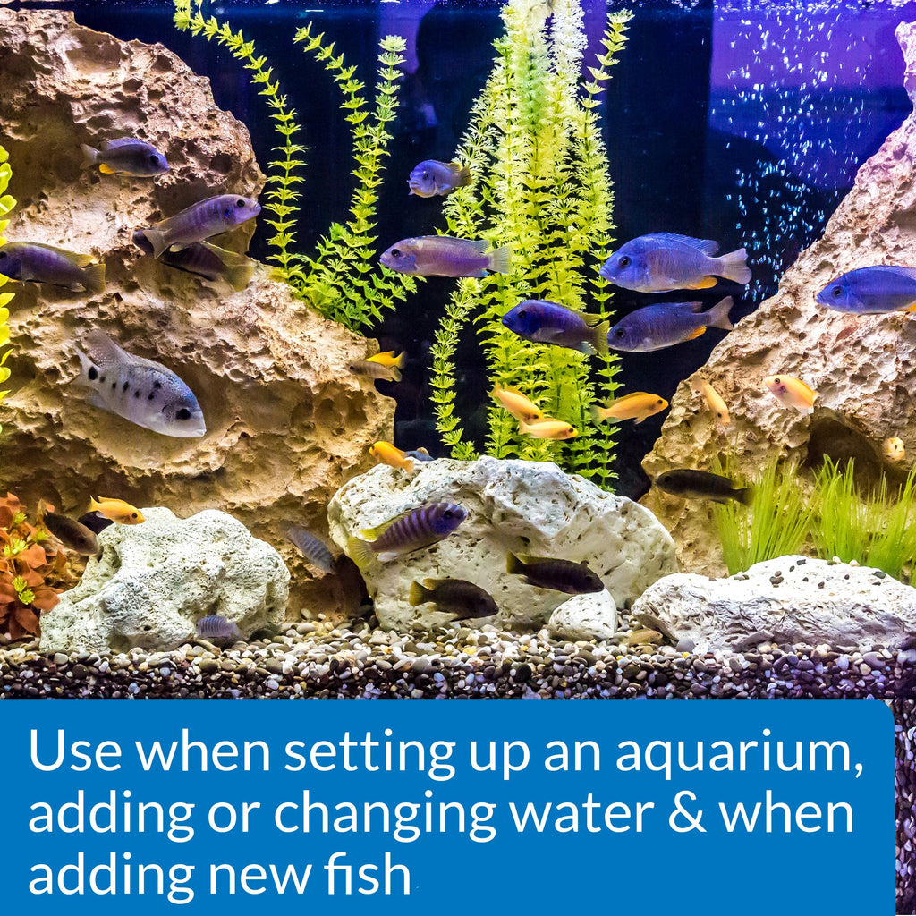 Freshwater & Saltwater Aquarium Nitrifying Bacteria 8 oz R45884